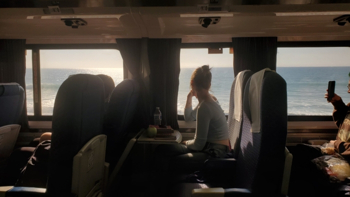 the beautiful view of the pacific ocean from the amtrak train home